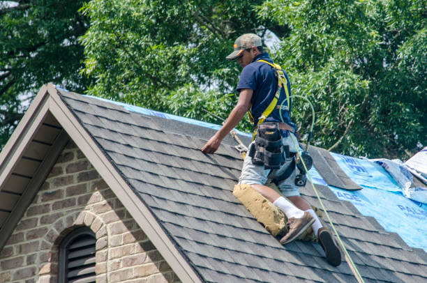 Best New Roof Installation  in Alpha, NJ